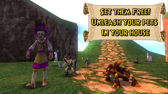 Advanced Pet Systems  Wizard101 Free Online Game