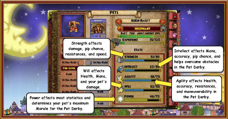 wizard 101 new pets 2022